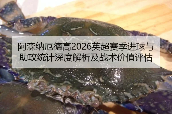 阿森纳厄德高2026英超赛季进球与助攻统计深度解析及战术价值评估
