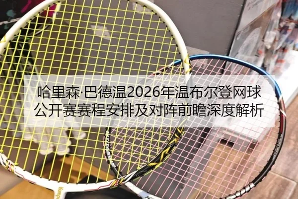 ha-li-sen-ba-de-wen-nian-wen-bu-er-deng-wang-qiu-gong-kai-sai-sai-cheng-an-pai-ji-dui-zhen-qian-zhan-shen-du-jie-xi-2-451.jpg
